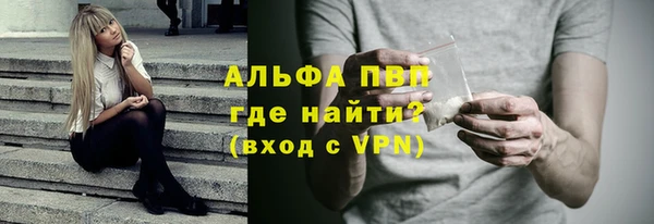 прущие грибы Абинск