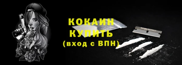 прущие грибы Абинск