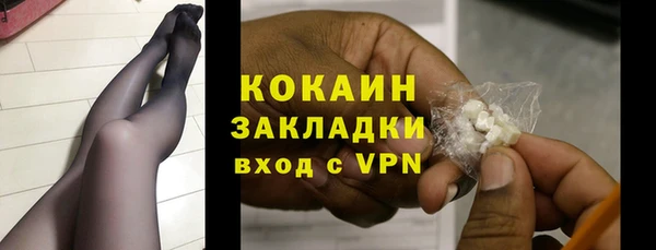 прущие грибы Абинск