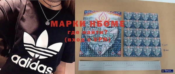 прущие грибы Абинск