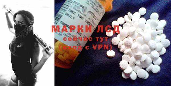 прущие грибы Абинск