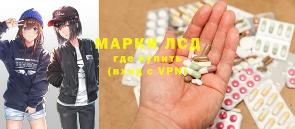 прущие грибы Абинск