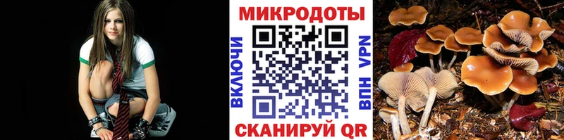 маркетплейс официальный сайт  Тында  Галлюциногенные грибы Psilocybe 