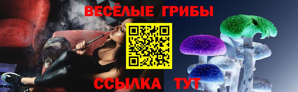 Псилоцибиновые грибы Psilocybine cubensis Тында